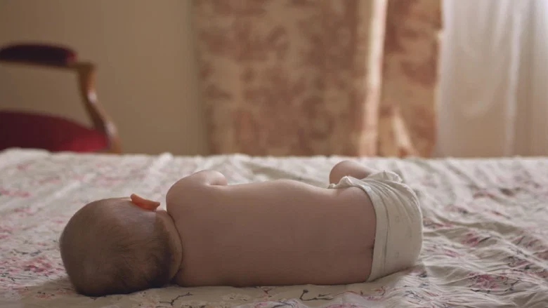 Dream of Storks screenshot 2