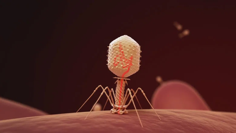 The Virus Within Us screenshot 3