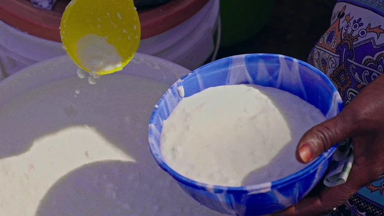 The Sahel Cuisine: Fura Da Nono screenshot 5