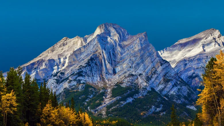 Is Genesis History? Mountains After the Flood screenshot 3