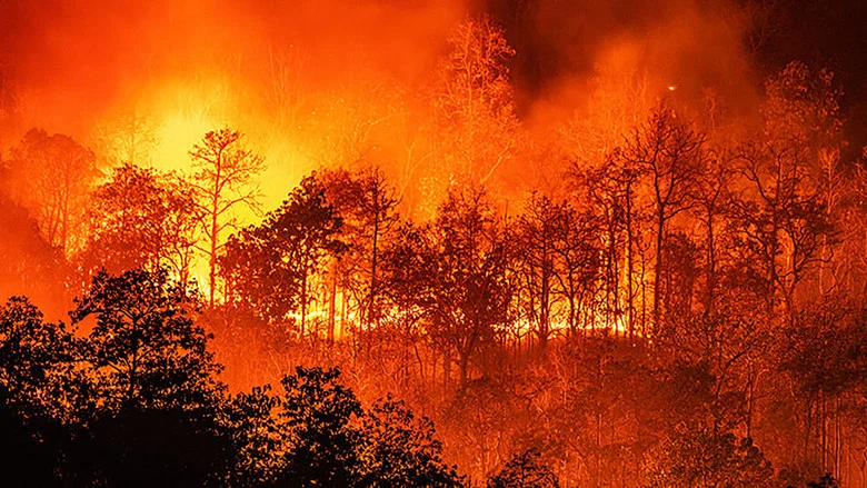 On Fire screenshot 4