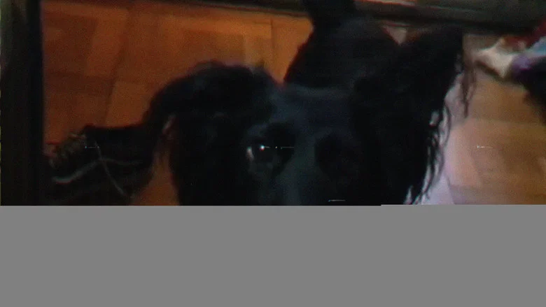 Pichiche screenshot 5