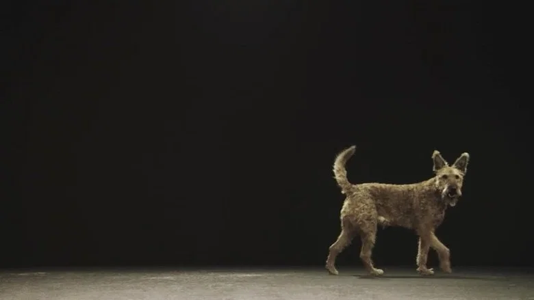 Dogs and Us: The Secret of a Friendship screenshot 2