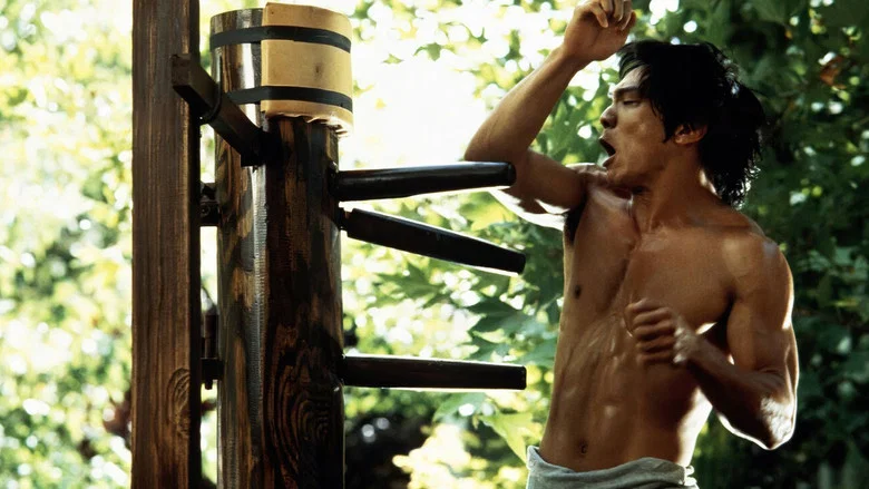 Dragon: The Bruce Lee Story screenshot 6