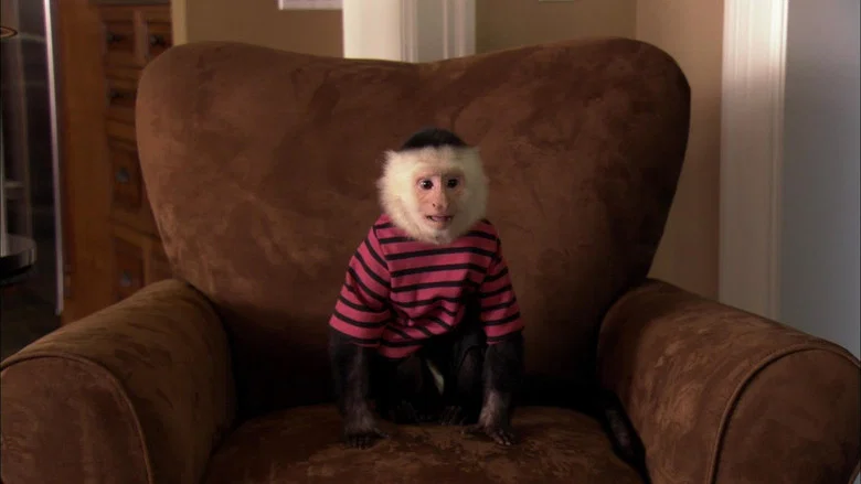 Dr. Dolittle: Million Dollar Mutts screenshot 2