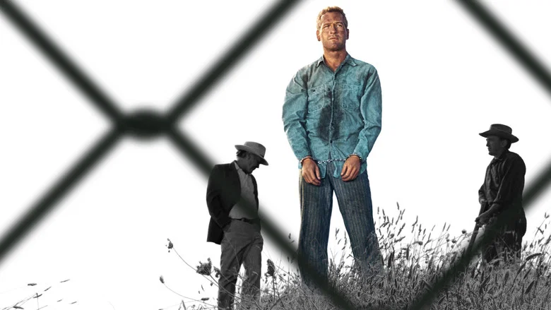 Cool Hand Luke screenshot 3