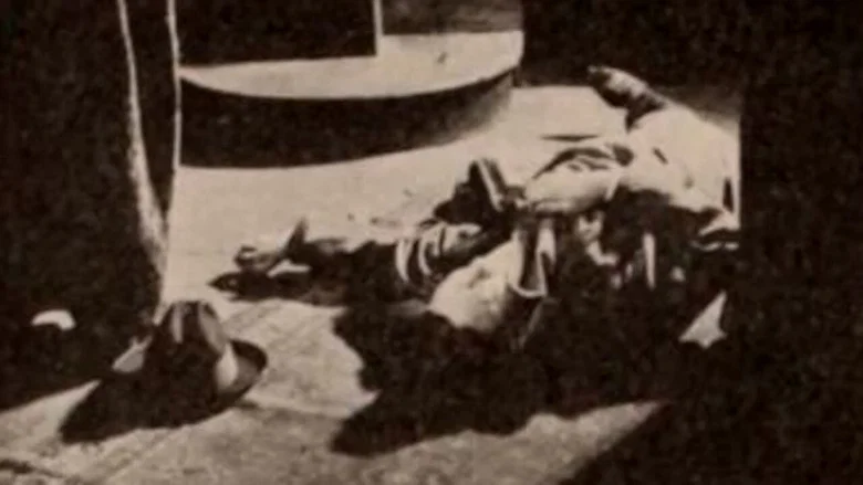 Chains of Evidence screenshot 1