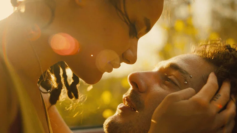 American Honey screenshot 3