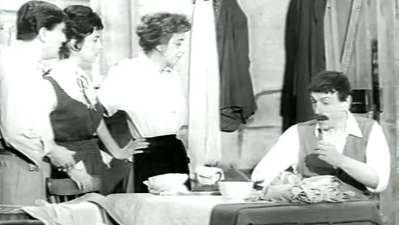 Sogno di una notte di mezza sbornia screenshot 1