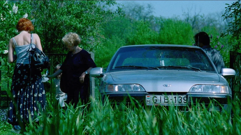 Hukkle screenshot 7