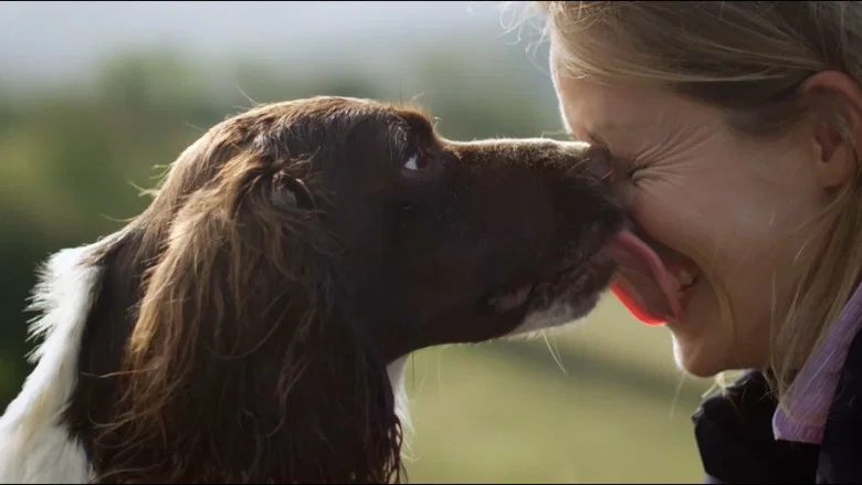 The Secret Life of Dogs screenshot 2