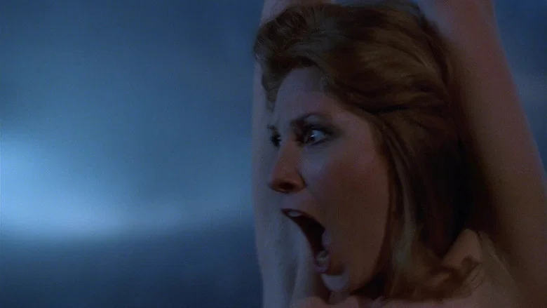 Don't Go in the House screenshot 7