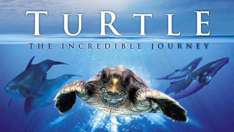 Turtle: The Incredible Journey screenshot 1