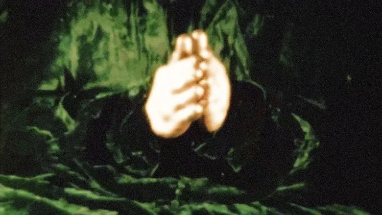 The Story of the Little Green Man screenshot 1