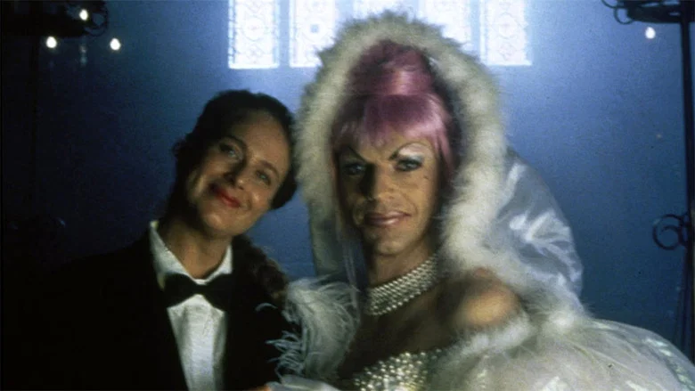 The Adventures of Priscilla, Queen of the Desert screenshot 4