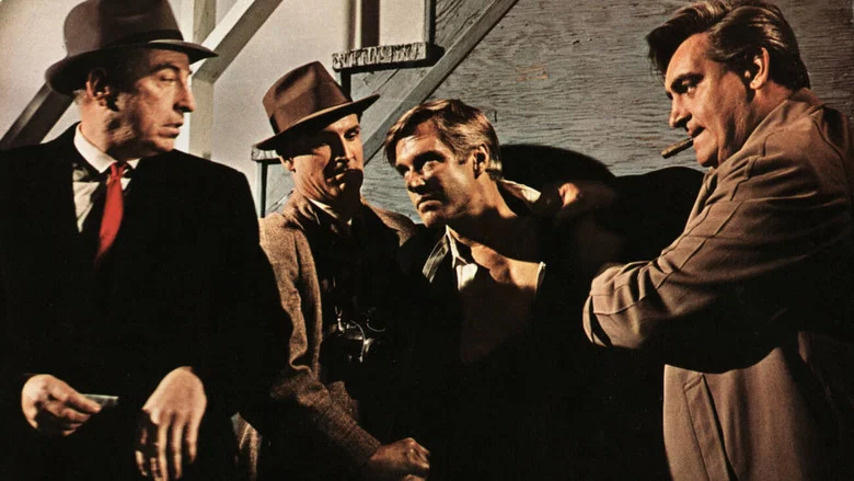 P.J. screenshot 3
