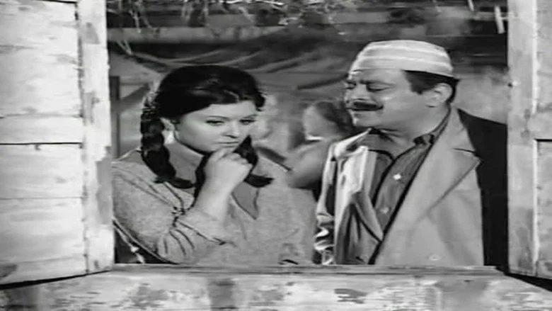 Cairo 30 screenshot 3