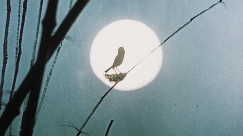 The Emperor's Nightingale screenshot 3