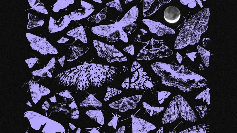 Nocturnes screenshot 4
