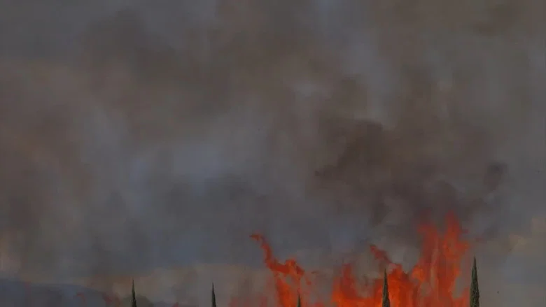 M. screenshot 1