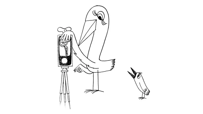Strange Birds screenshot 1
