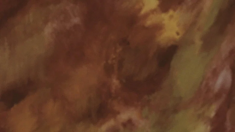 Autumn Sonata screenshot 5