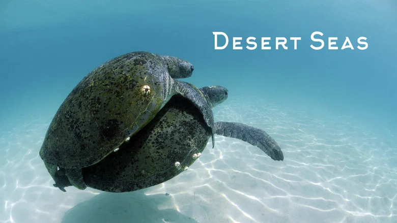 Desert Seas screenshot 3