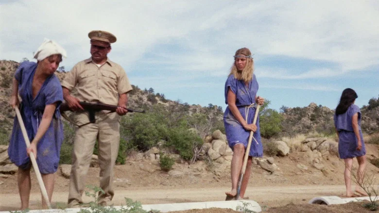 Girls for Rent screenshot 5