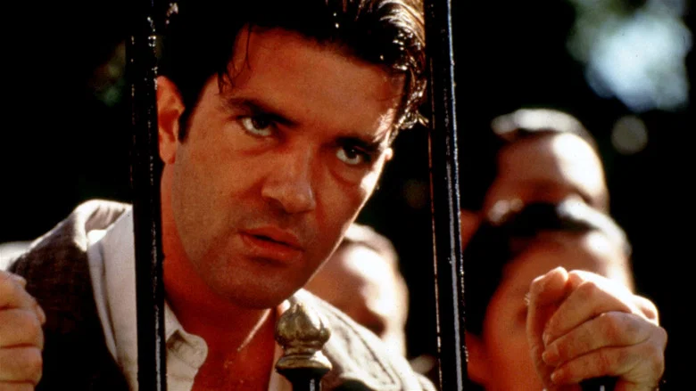 Evita screenshot 3