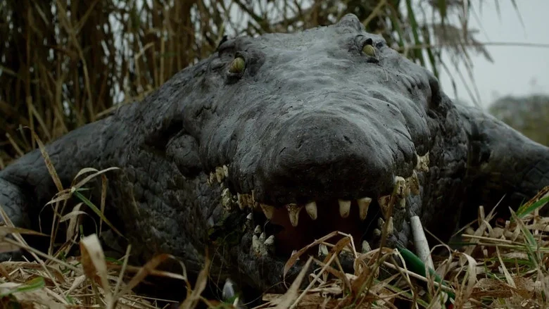 The Hatching screenshot 2