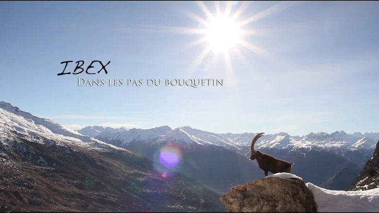 Ibex; In the Footsteps of the Ibex screenshot 1