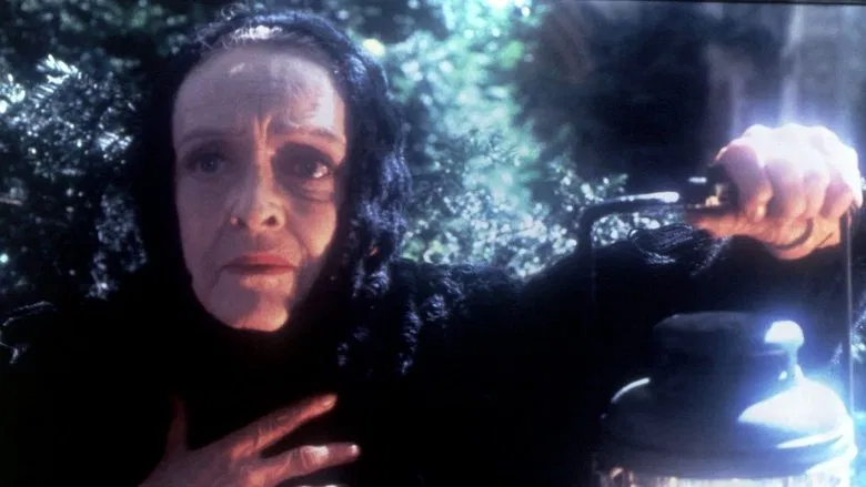 The Watcher in the Woods screenshot 1