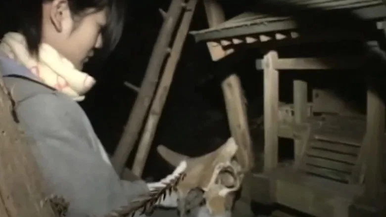 Really! Cursed Video: The Movie 2 screenshot 1