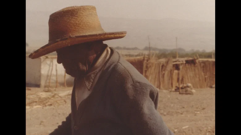 Candico screenshot 1