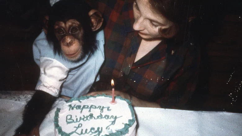 Lucy the Human Chimp screenshot 3