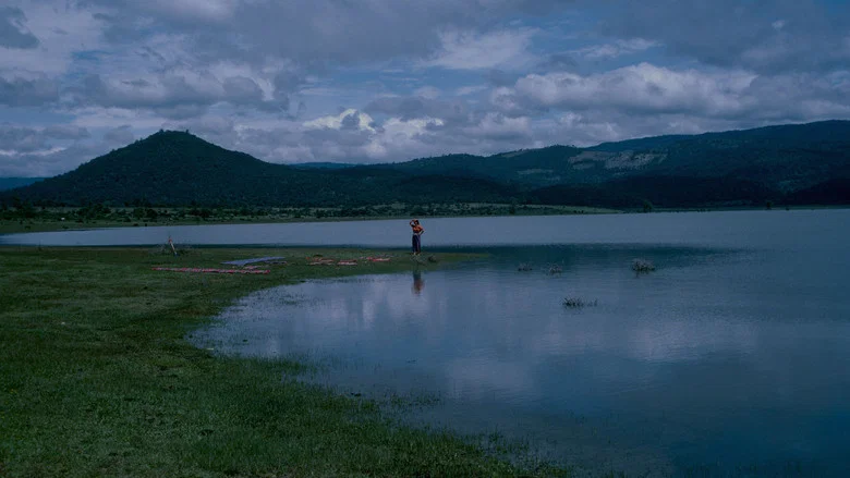 El Norte screenshot 3