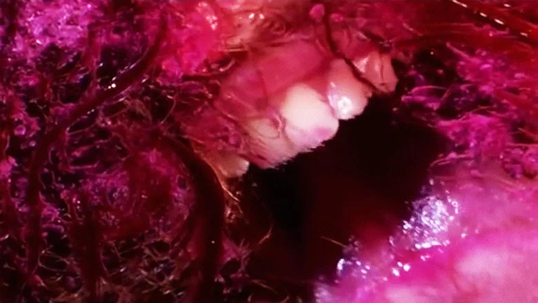Green Pink Caviar screenshot 1