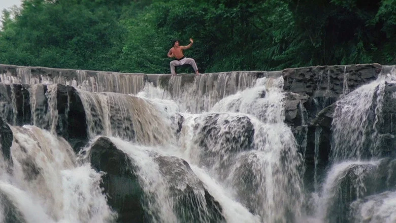 Shaolin Wooden Men screenshot 4