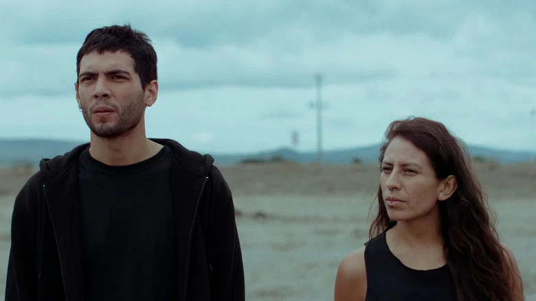 Beautiful Losers screenshot 3