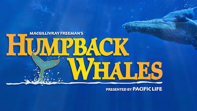 Humpback Whales screenshot 1