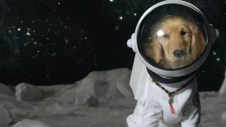 Space Buddies screenshot 3