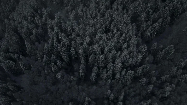 The Head Hunter screenshot 6