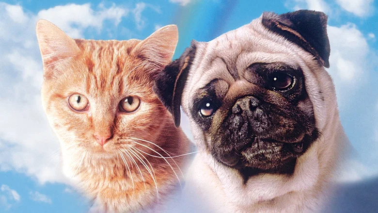 The Adventures of Milo and Otis screenshot 8