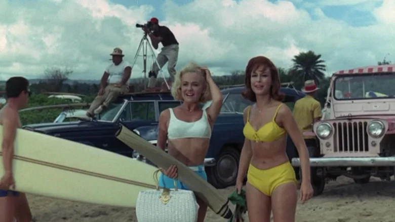 Ride the Wild Surf screenshot 3