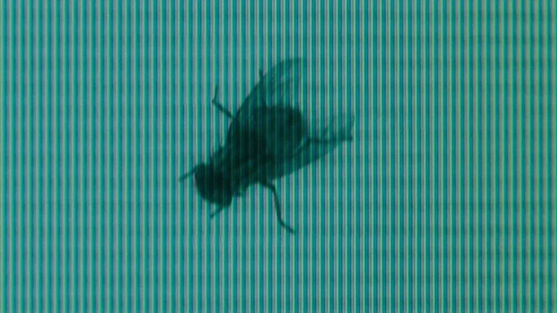 The Ring screenshot 7
