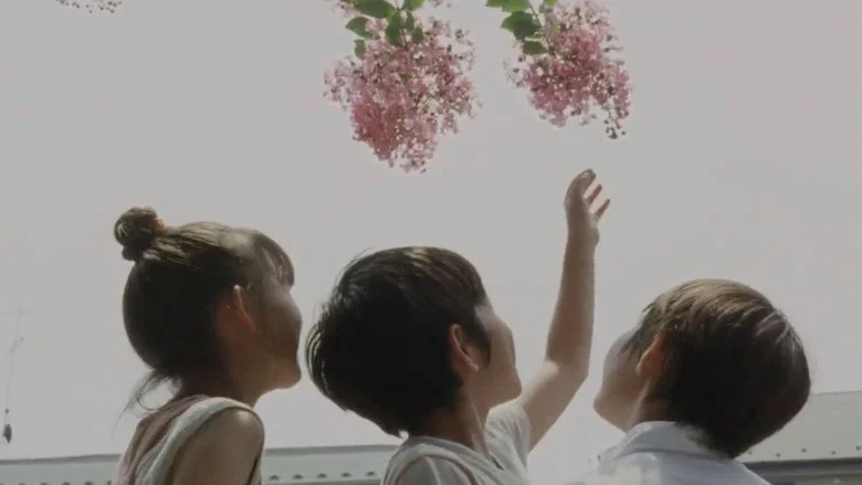 Still Walking screenshot 7