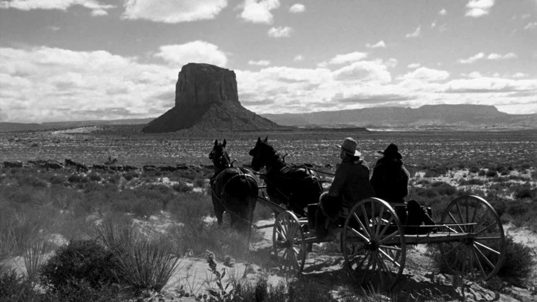 My Darling Clementine screenshot 7