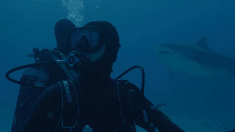 Requin screenshot 1
