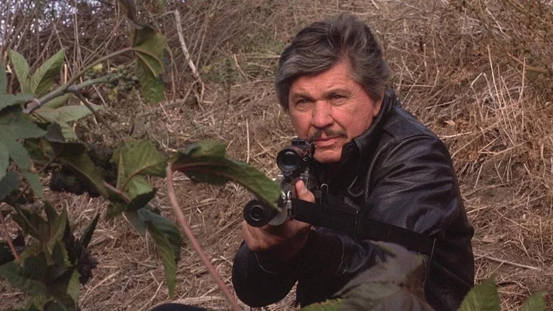 Death Wish 4: The Crackdown screenshot 6