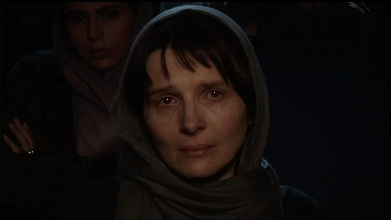 Shirin screenshot 1
